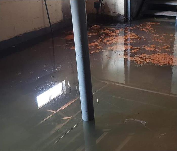 Flooded basement with several inches of contaminated flood water