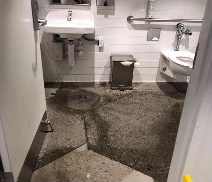 Sewage backup disaster in commercial bathroom